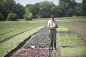 Steves leaves crop trials