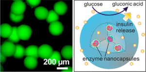 How nanocapsules work